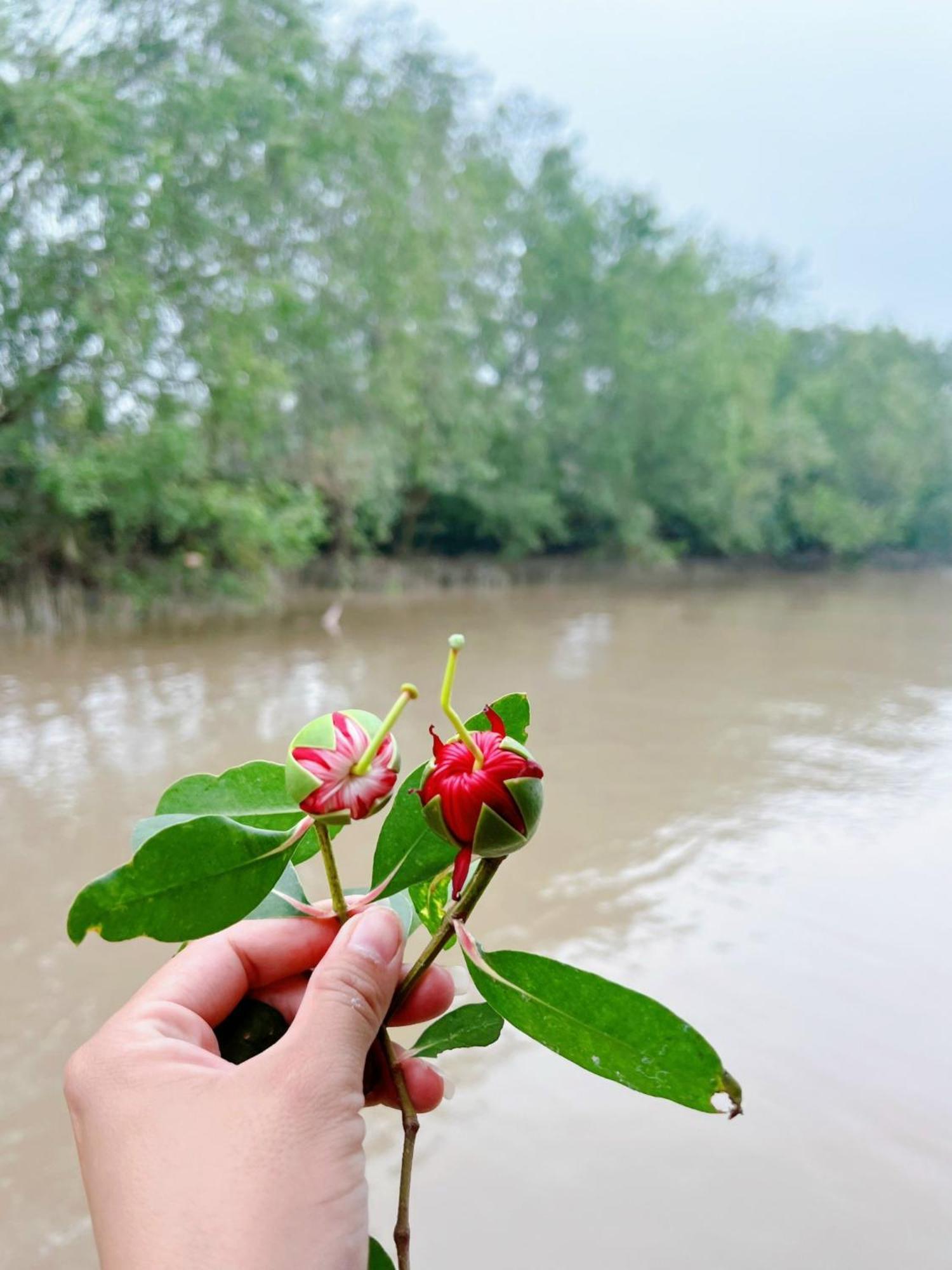 Hide Away Bungalows In Ben Tre City מראה חיצוני תמונה