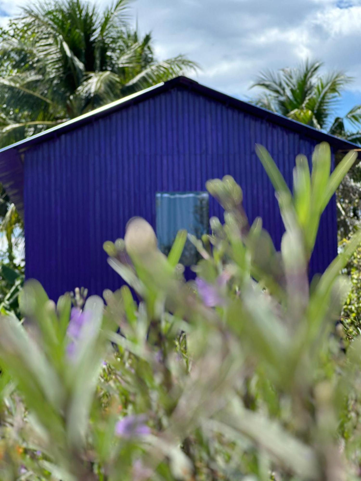 Hide Away Bungalows In Ben Tre City מראה חיצוני תמונה