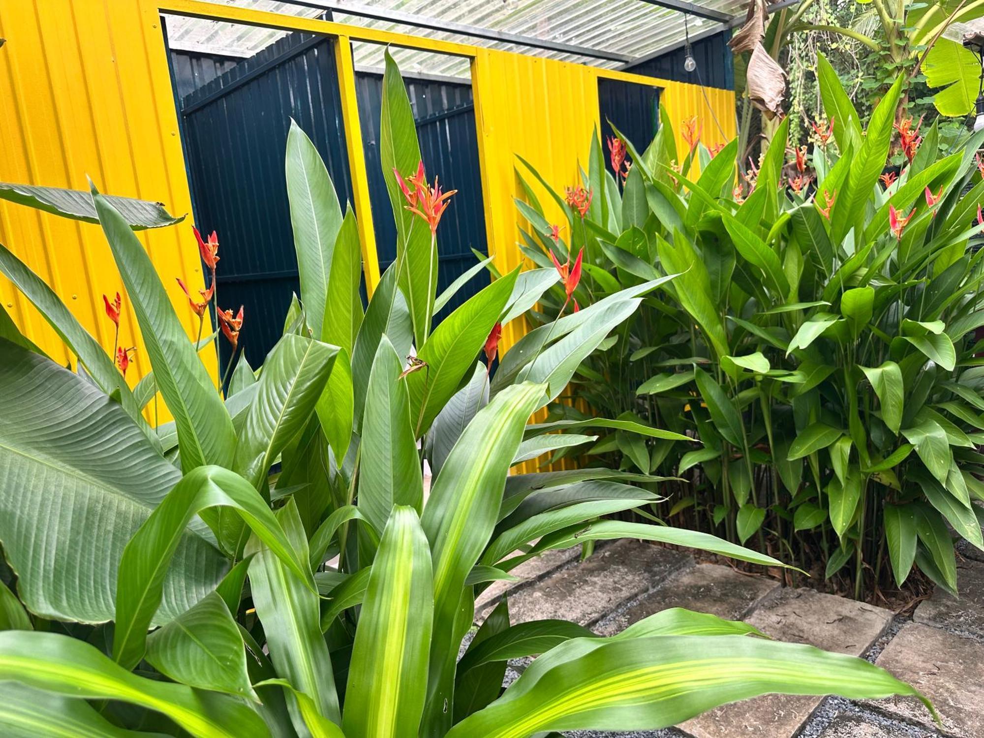 Hide Away Bungalows In Ben Tre City מראה חיצוני תמונה