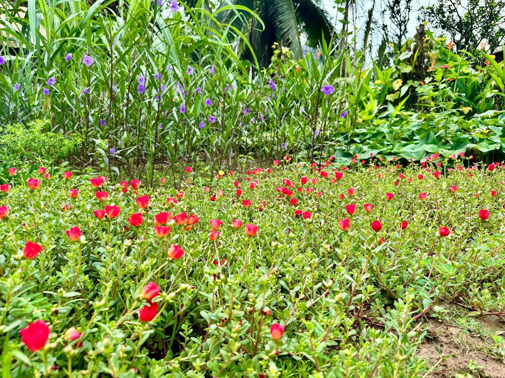 Hide Away Bungalows In Ben Tre City מראה חיצוני תמונה