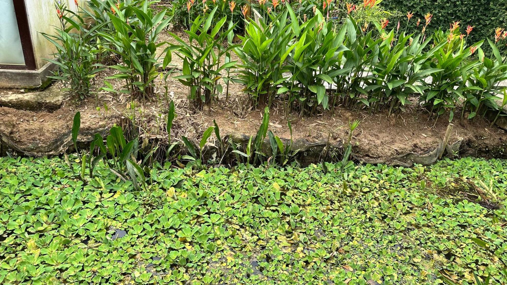 Hide Away Bungalows In Ben Tre City מראה חיצוני תמונה